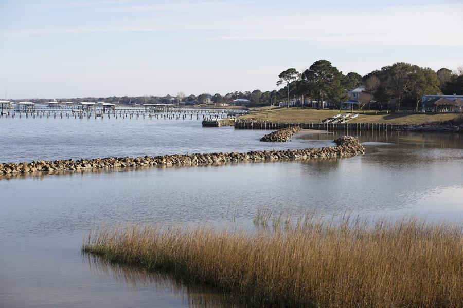 Moda Marsh & Wetlands Preserve