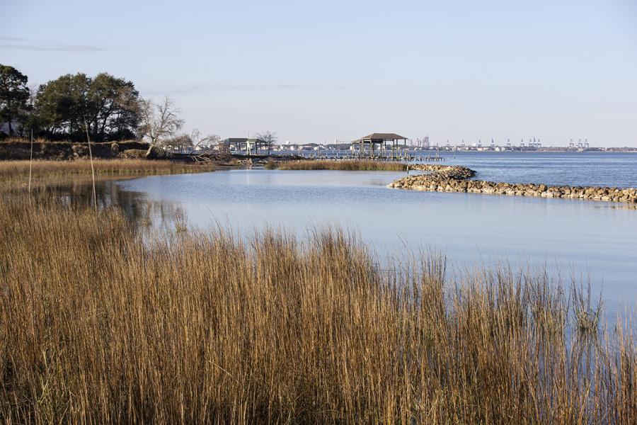 Moda Marsh & Wetlands Preserve