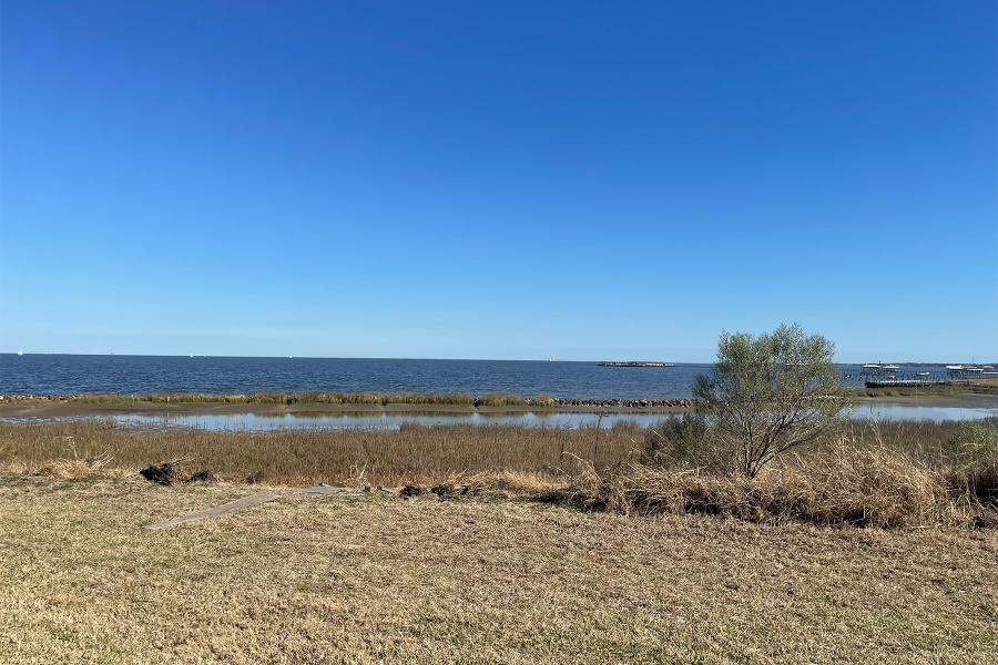 Moda Marsh & Wetlands Preserve