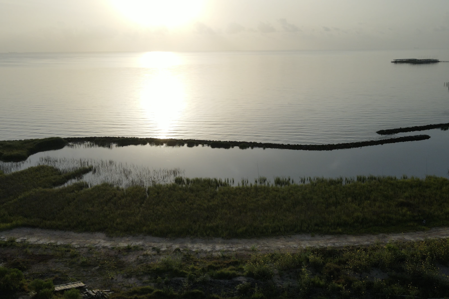 Moda Marsh & Wetlands Preserve