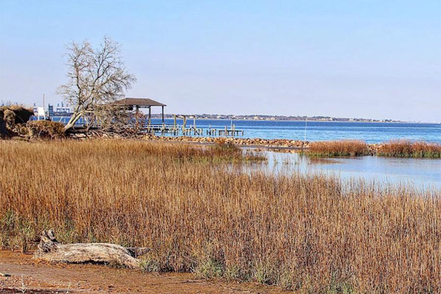 Moda Marsh & Wetlands Preserve