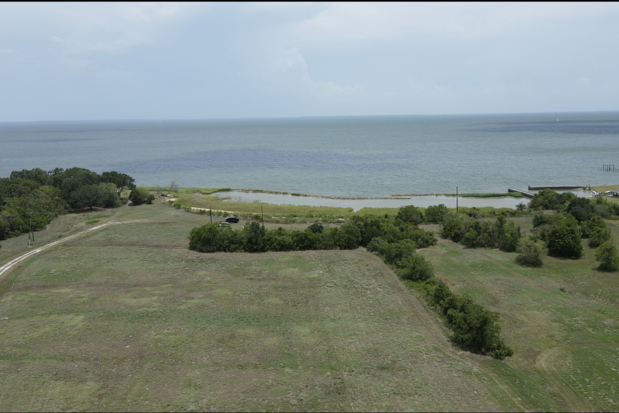 Moda Marsh & Wetlands Preserve