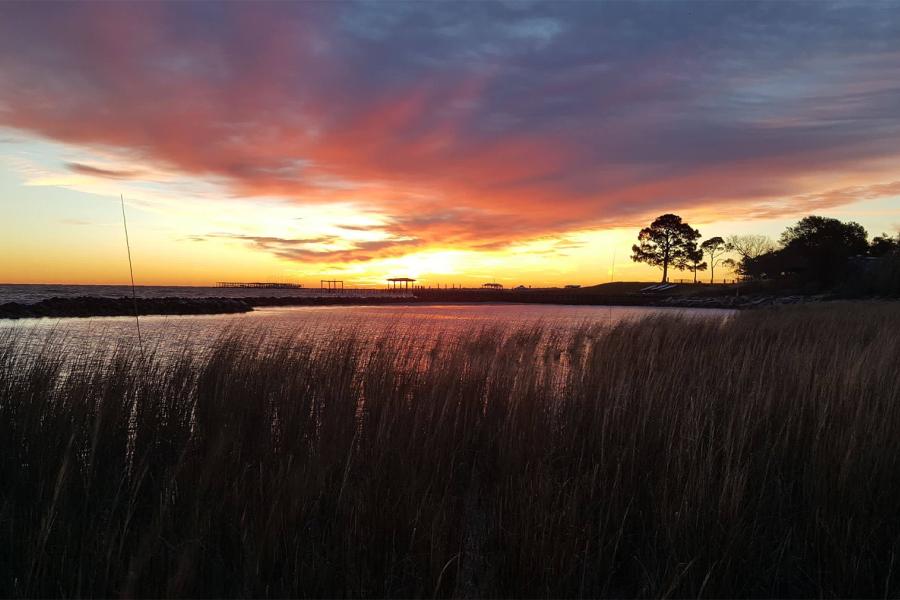 Moda Marsh & Wetlands Preserve